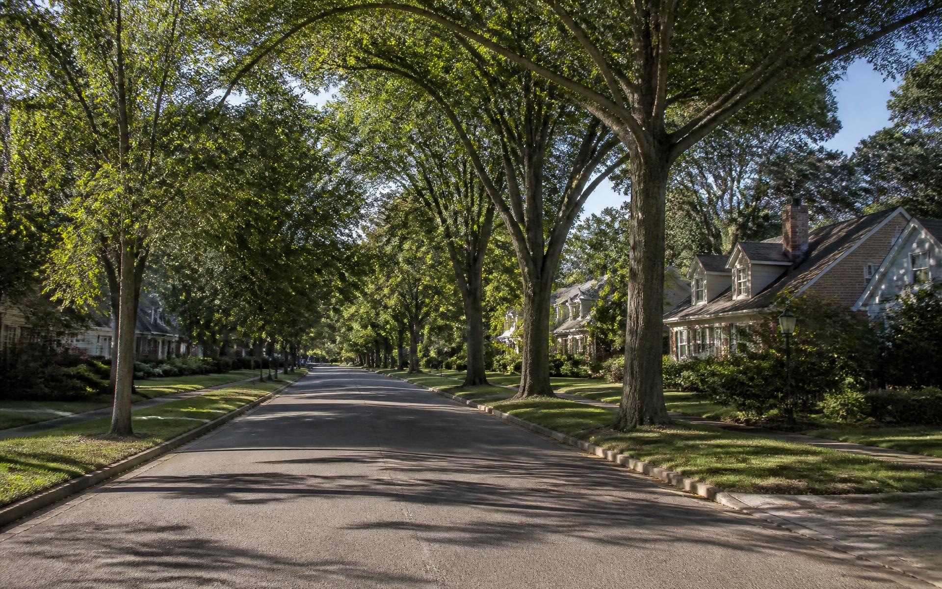 Tree-lined residential street in a community near Mountain Island Lake