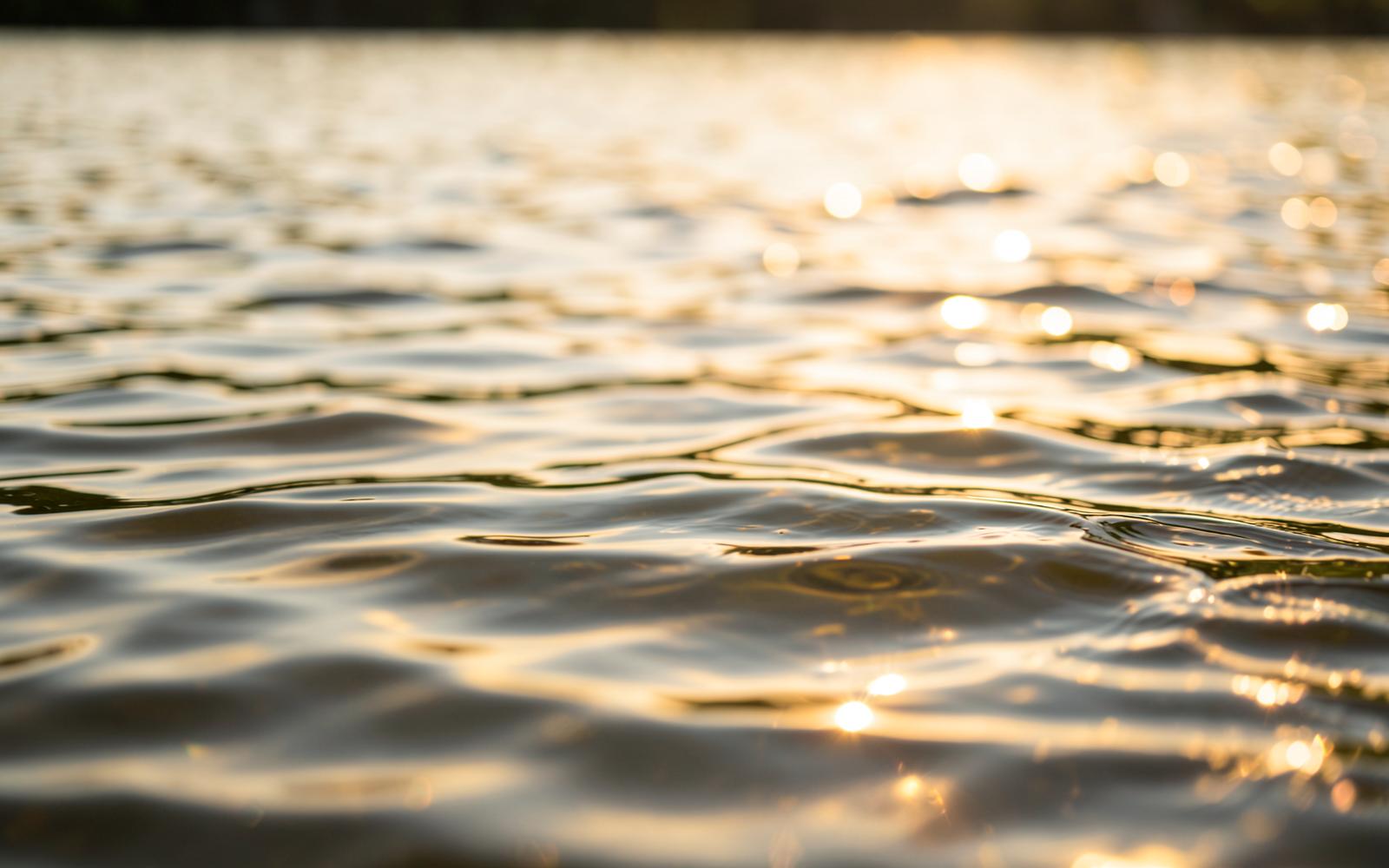 Close-up of sunlit lake water with golden reflections on gentle ripples